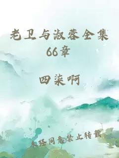 老衛(wèi)與淑蓉全集66章